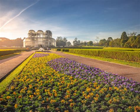 O Jardim Botânico de Bucaramanga: Um Oásis Verdante e Refúgio para Espíritos Curiosos!