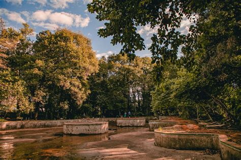 Jardim Botânico de Jalisco! Uma Oásis Tropical Escondido no Coração do México.