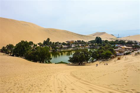  O Jardim da Amizade em Yazd: Um Oásis Verde e Histórico no Coração do Deserto!