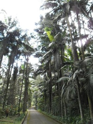 O Jardim de las Plantes: Uma Odisseia Botânica no Coração da Cidade Lumière!