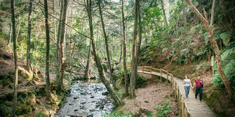 Parque Arví: Uma jornada verdejante pela cultura ancestral e vistas panorâmicas!