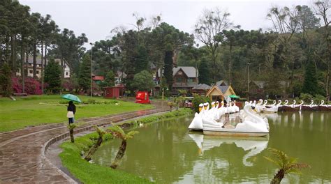 Parque do Lago Xiaogan! Uma jóia verdejante para escapadas relaxantes em Xiaogan.