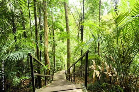 Taman Negara: Uma Jornada Fascinante Através da Floresta Tropical mais Antiga do Mundo!