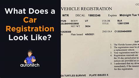 What Does a Car Registration Paper Look Like: A Journey Through Bureaucratic Art