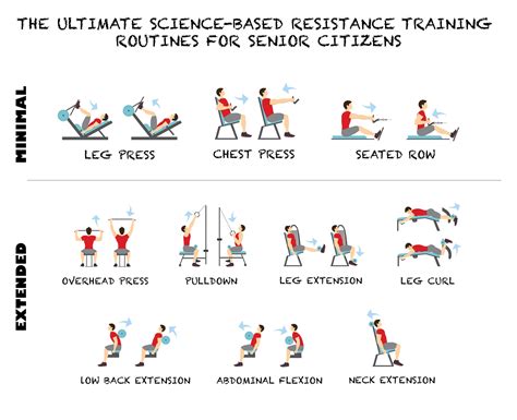 What is a Split Routine as It Relates to Resistance Training, and Why Do Some People Think It’s Like Organizing a Library by Color?