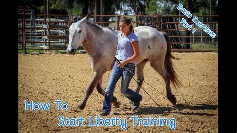 What is Liberty Horse Training: A Dance of Trust and Freedom